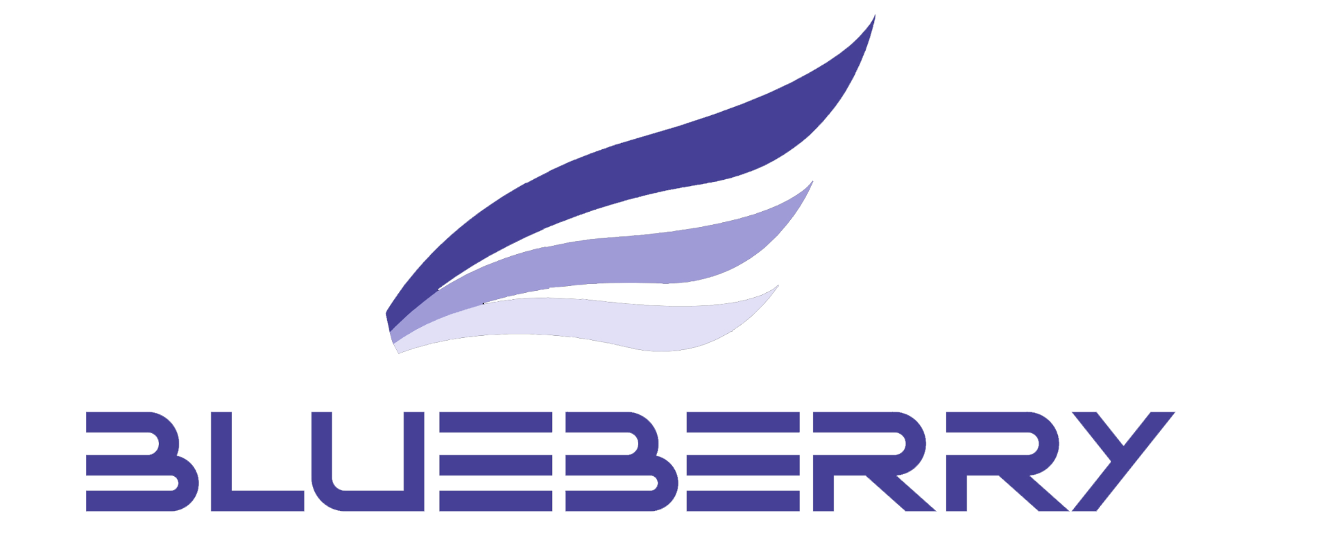 Blueberry Studios Logo